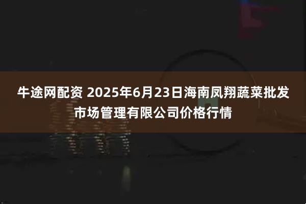 牛途网配资 2025年6月23日海南凤翔蔬菜批发市场管理有限公司价格行情