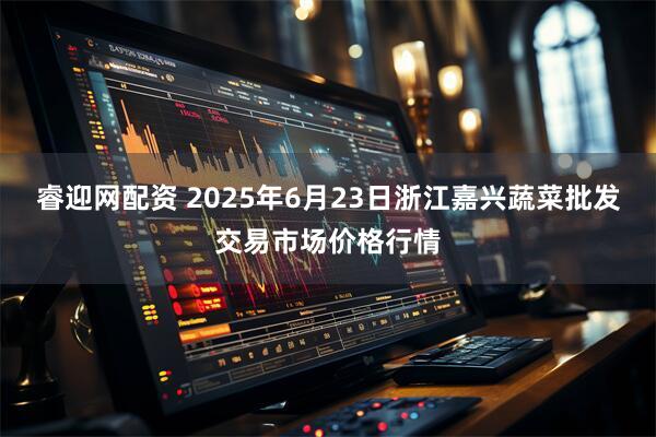 睿迎网配资 2025年6月23日浙江嘉兴蔬菜批发交易市场价格行情