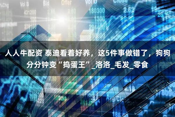 人人牛配资 泰迪看着好养，这5件事做错了，狗狗分分钟变“捣蛋王”_洛洛_毛发_零食