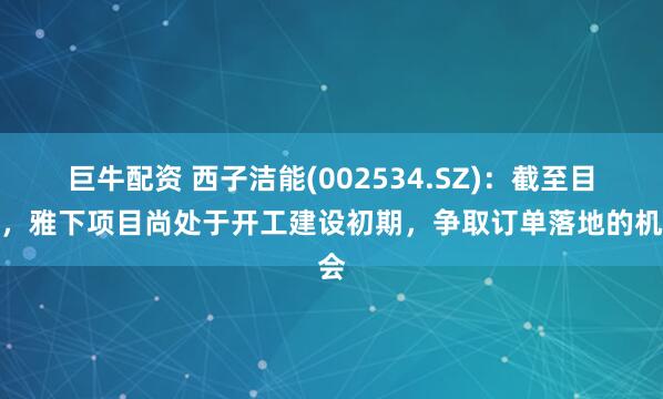 巨牛配资 西子洁能(002534.SZ)：截至目前，雅下项目尚处于开工建设初期，争取订单落地的机会