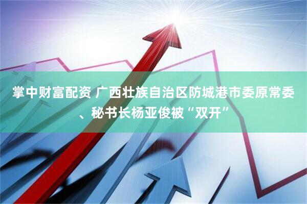 掌中财富配资 广西壮族自治区防城港市委原常委、秘书长杨亚俊被“双开”